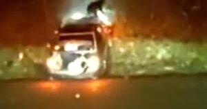 Chó bay xuyên kính chắn gió sau vụ truy đuổi của cảnh sát 33 Chó bay xuyên kính chắn gió sau vụ truy đuổi của cảnh sát