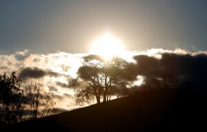 Vùng Vịnh đối mặt đợt ‘giá rét cực độ’