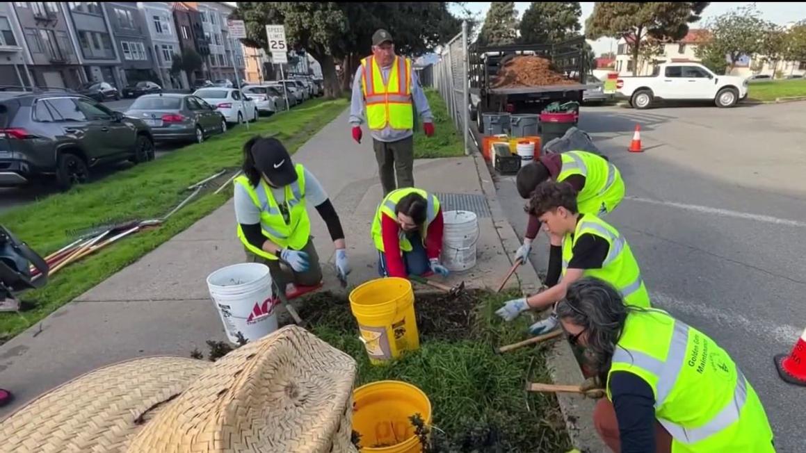 Events through Bay Area celebrate MLK Jr. Day through service action