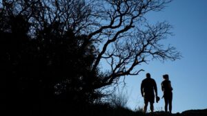 Vào ngày Martin Luther King, các công viên tiểu bang California cho vào cổng miễn phí