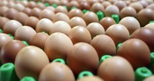 Texas: Ngân hàng thực phẩm nhận 2 triệu quả trứng sau vụ kiện về giá cả