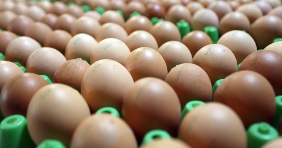 Texas: Ngân hàng thực phẩm nhận 2 triệu quả trứng sau vụ kiện về giá cả 1 GettyImages 1240083765