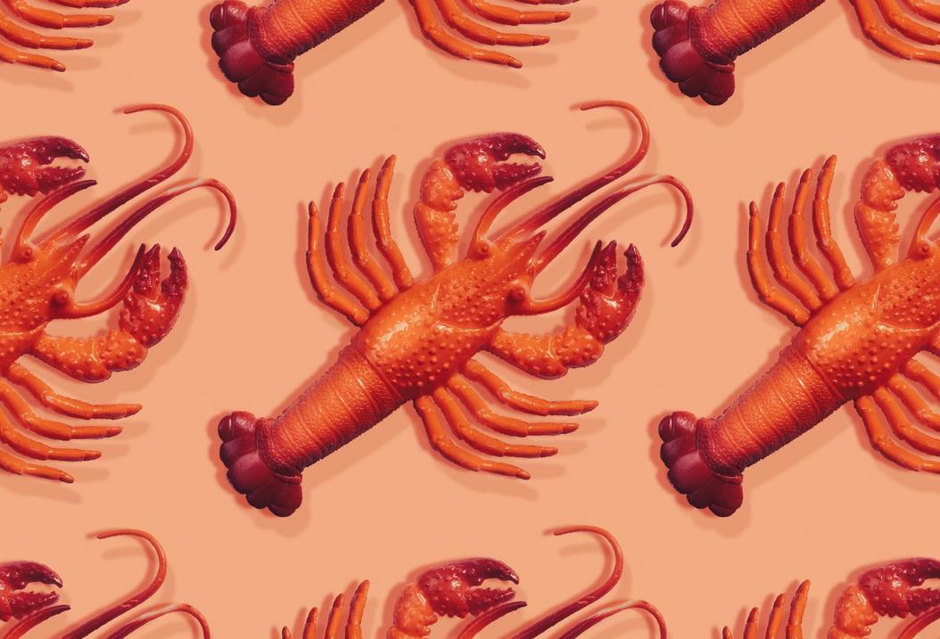 Những điều cần biết về trợ lý AI cá nhân Moltbot, trước đây là Clawdbot 1 GettyImages 1436392734