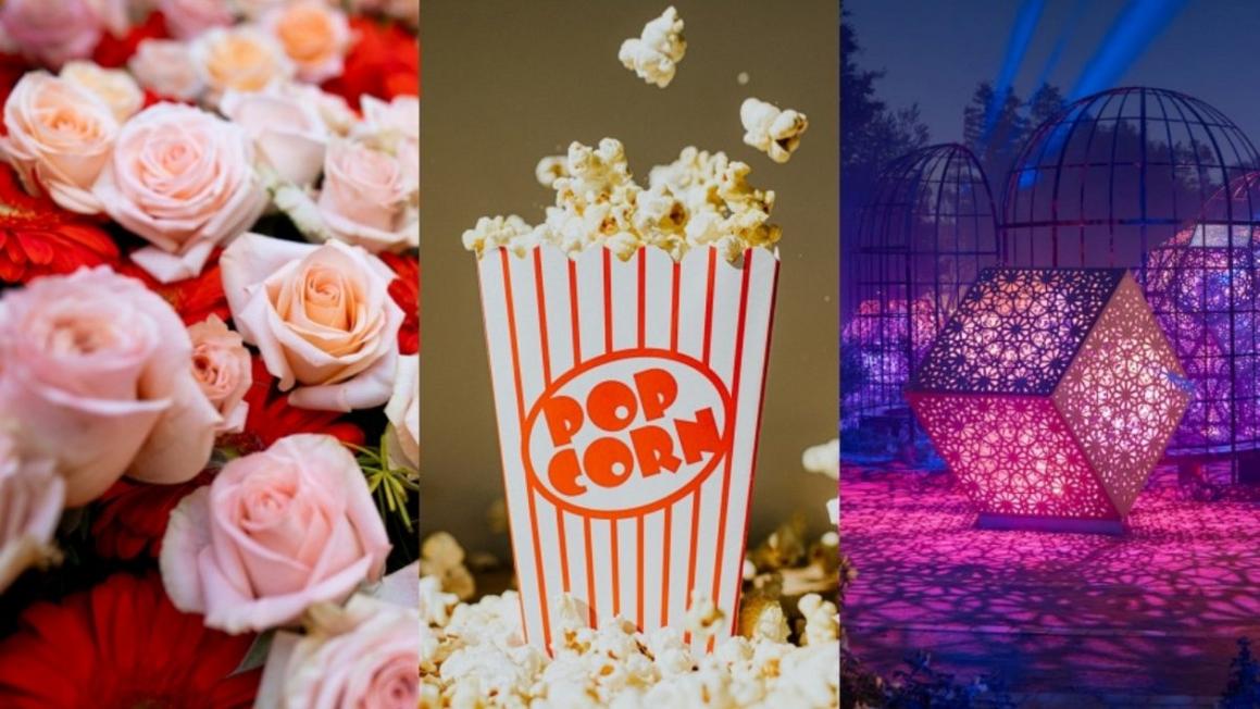 GettyImages 2007629456a side