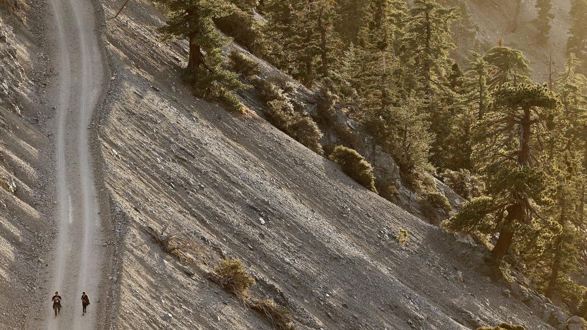 GettyImages 2191252939 e1767829067654