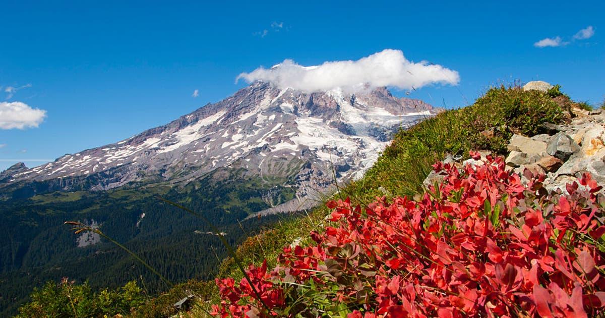 GettyImages 469281272 2