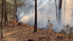 Nhân viên cứu hỏa khống chế hỏa hoạn tại Hồ chứa Addicks