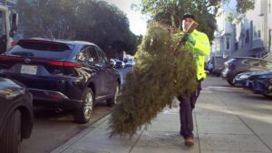 Nhân viên thu gom 500 tấn cây thông Noel trên đường phố San Francisco 32 Nhân viên thu gom 500 tấn cây thông Noel trên đường phố San Francisco