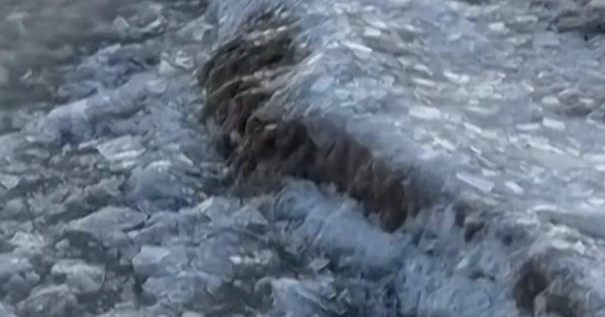 Hàng triệu người chuẩn bị ứng phó bão mùa đông 1 Ice Storm Thumb Vert 582tbl