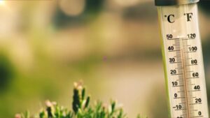 Thời tiết thay đổi ở Houston có thể khiến bạn đổ bệnh?