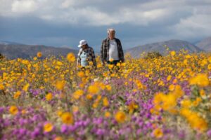 Vào Cổng Miễn Phí Công Viên Tiểu Bang California Ngày Lễ MLK