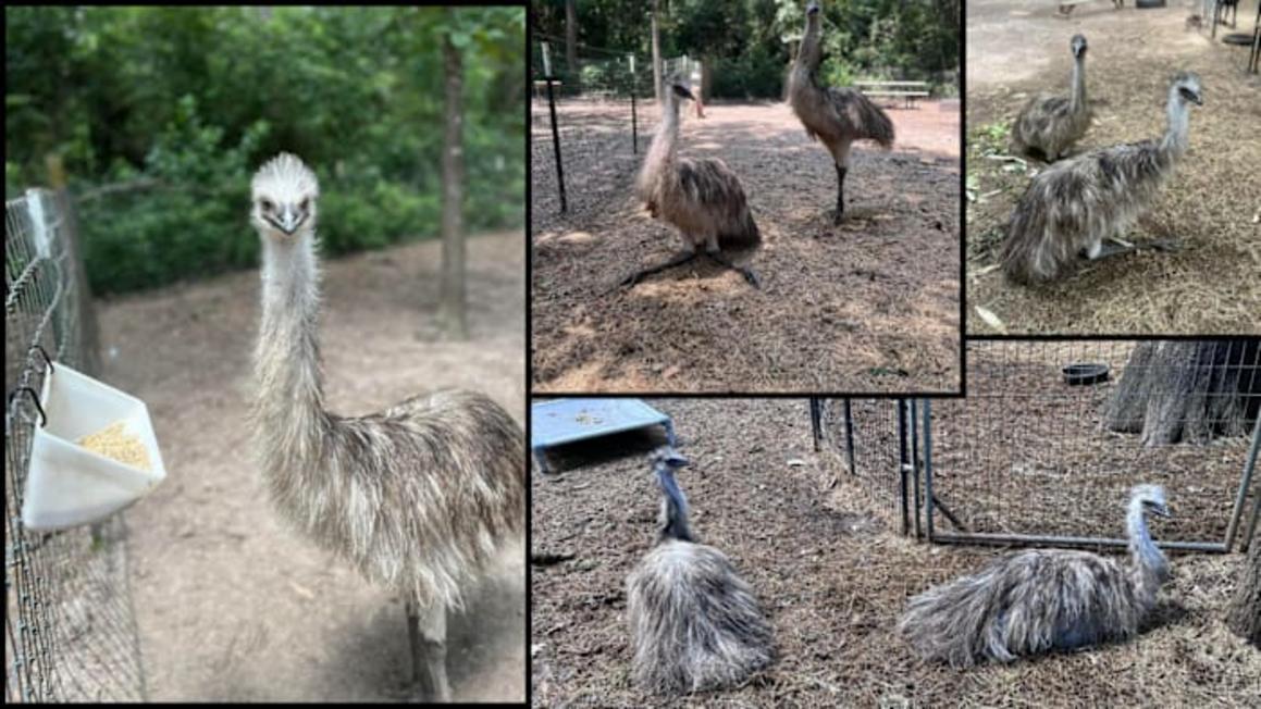 MHPRUYTFNZFEJITUA27HQONTW4