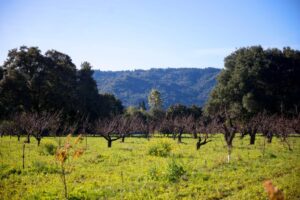 Phi lợi nhuận phục vụ 10.000 suất ăn miễn phí cho sinh viên đại học