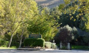 Cảnh sát trưởng khu vực Vịnh tố cáo Sở Công viên cản trở công tác phòng chống cháy rừng 36 Cảnh sát trưởng khu vực Vịnh tố cáo Sở Công viên cản trở công tác phòng chống cháy rừng