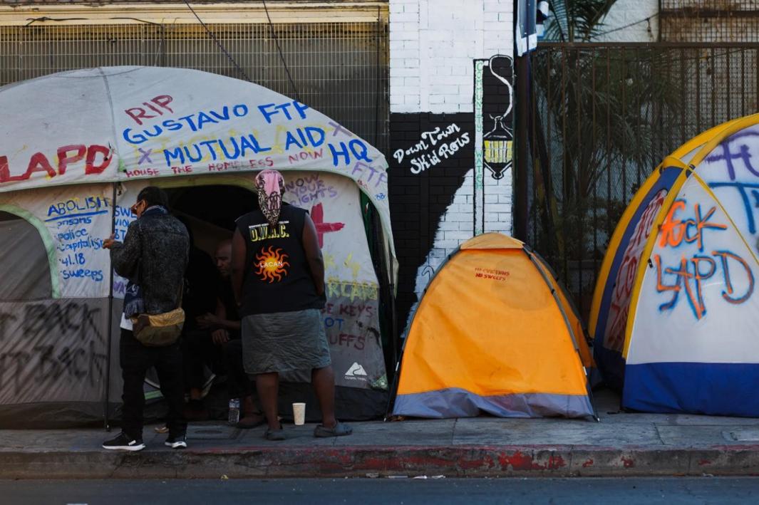 SJM Z COL BROWN 0127