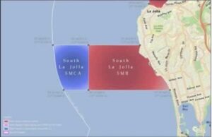 Nhóm dân biểu California: Khu bảo tồn biển La Jolla là nơi bị săn bắt trái phép nhiều nhất