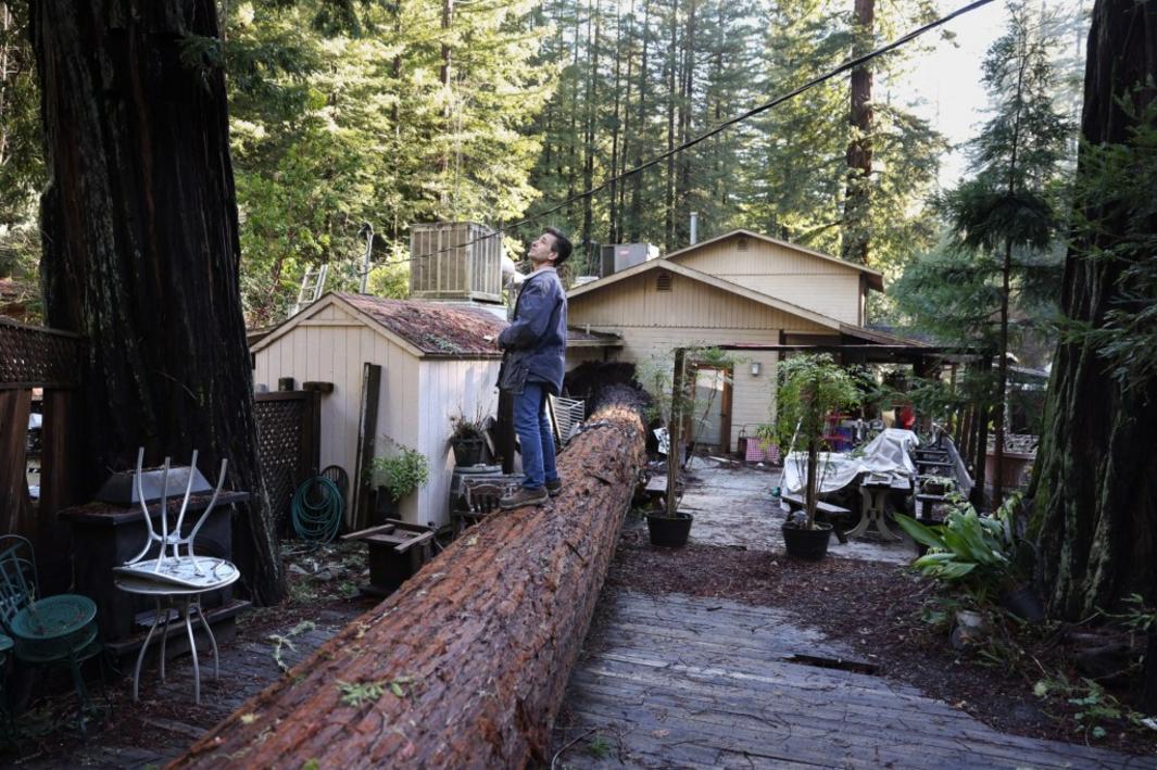 Chủ tiệm bánh ở Bắc California sẵn sàng tái thiết sau khi cây cổ thụ đổ sập 1 TPD L bakerystorm 122825 CC001