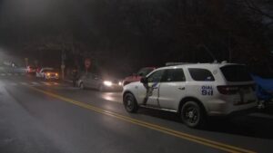 Thiếu niên trốn chạy sau khi trộm xe, một người nhảy xuống suối