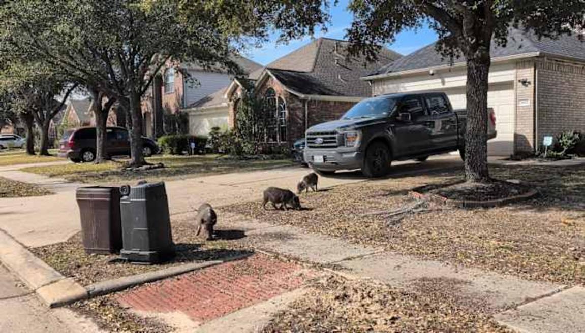 VC6LWBLJAVETJEFBC7OOI3QXUU