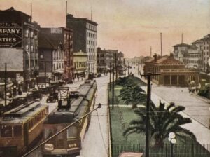 Berkeley hồi tưởng: Cắt bỏ cây cọ gây ‘phản đối dữ dội’