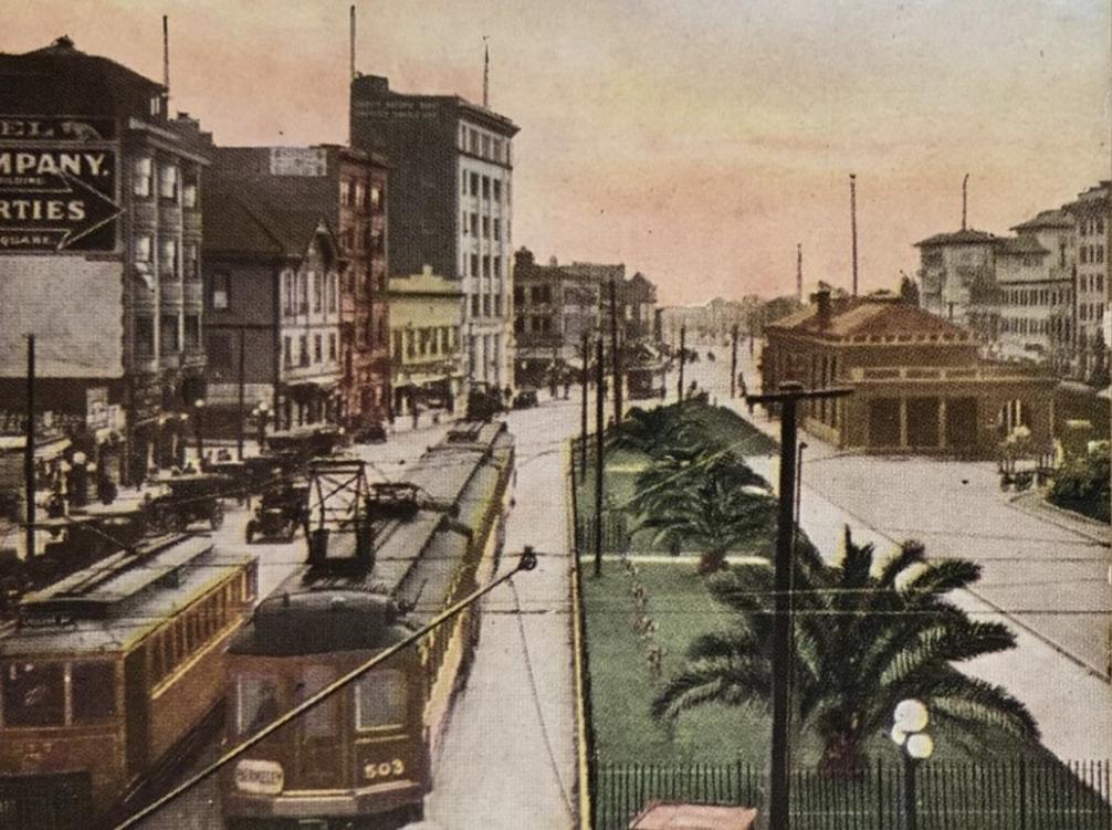 Berkeley hồi tưởng: Cắt bỏ cây cọ gây 'phản đối dữ dội' 1 VOJ Z HISTORY COL 0116 1 1