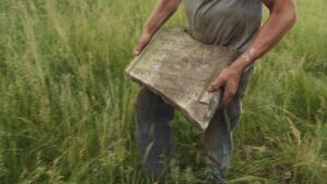 Tầm quan trọng của ngày Tưởng niệm Holocaust khi lịch sử bị viết lại và chủ nghĩa bài Do Thái gia tăng