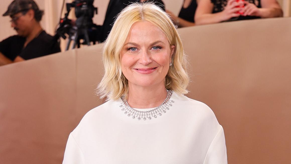 amy poehler golden globes
