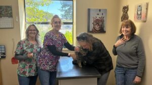 Mèo Ella bị lạc sau lũ lụt tìm về nhà trong cuộc đoàn tụ xúc động ở Kerrville 21 Mèo Ella bị lạc sau lũ lụt tìm về nhà trong cuộc đoàn tụ xúc động ở Kerrville