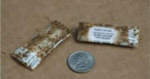 Texas Mở Rộng Chương Trình Tiêm Vắc-xin Ngừa Bệnh Dại