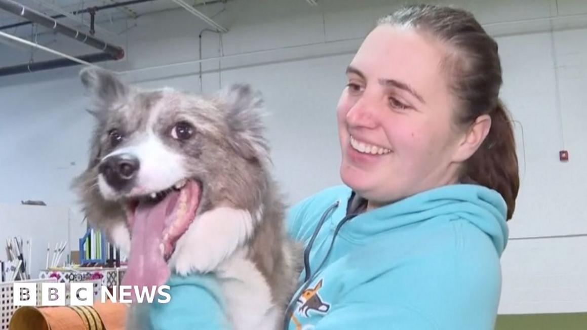 Video: Tổng Thống Donald Trump Khen Ngợi Bộ Phim Của Đệ Nhất Phu Nhân Melania 1 bd9d1dc0 fdf9 11f0 b7e1 afb6d0884c18