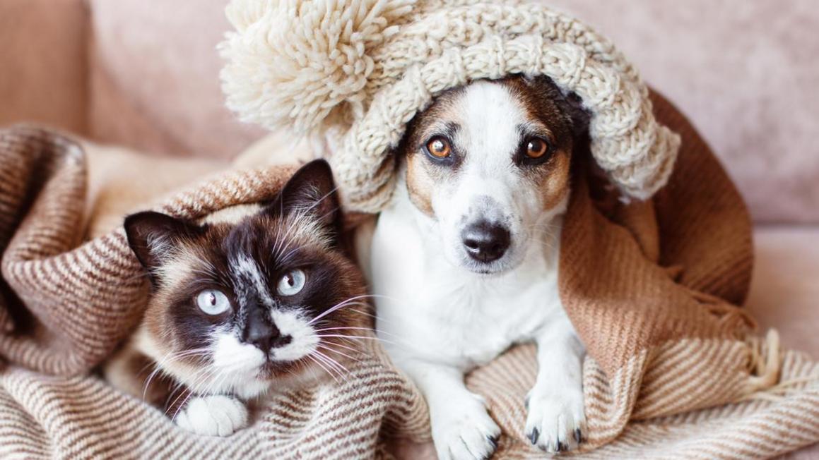 be3230f3 3b2d 43fe 97e4