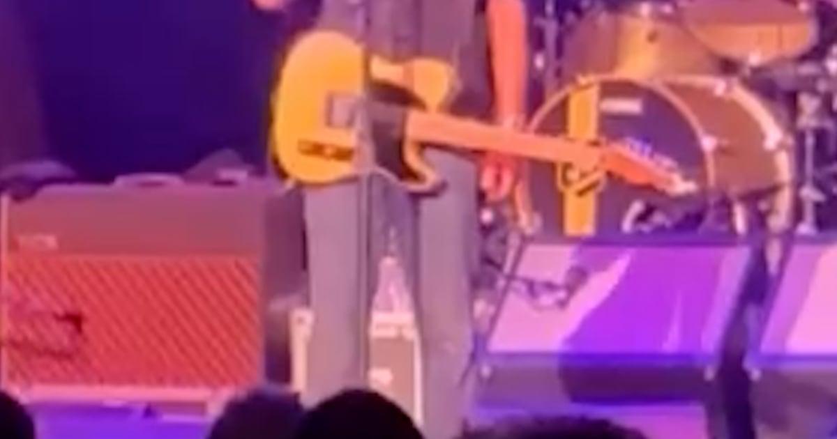 brucethumbnail myg882