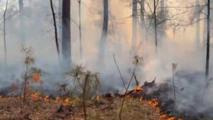 Cháy kiểm soát gần Hồ chứa Addicks, khói có thể lan rộng