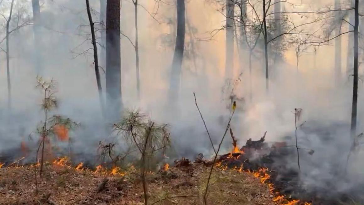 c0ac60ad 8ae8 4977 af41