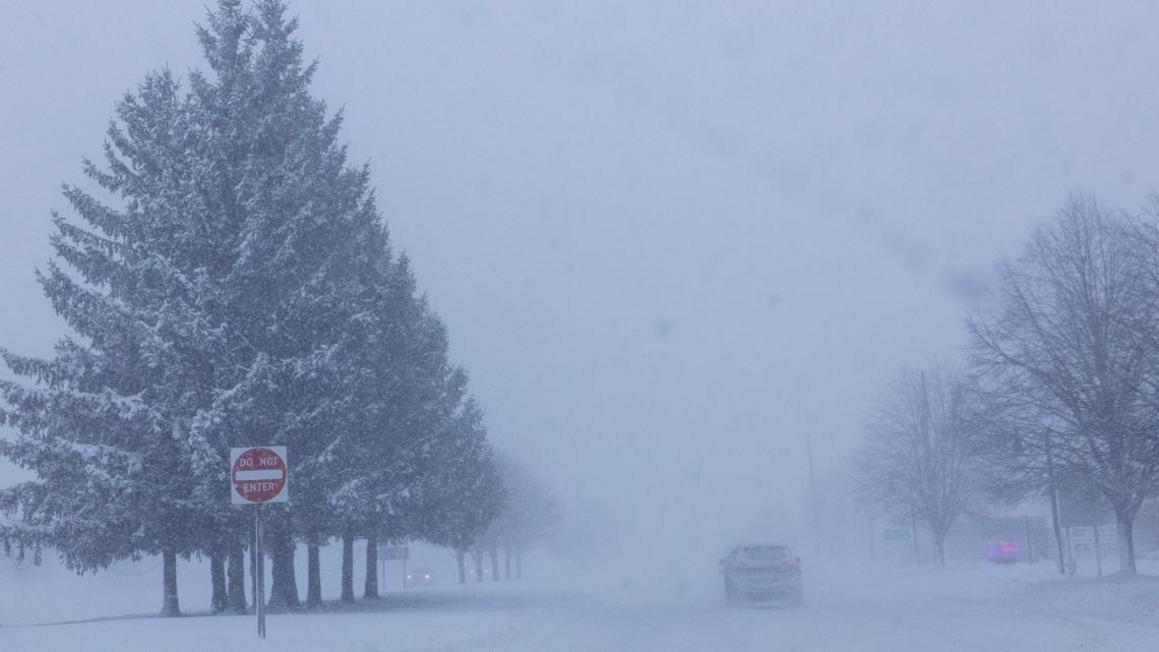 c18084c3 b58e 42ab bb09