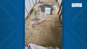 Hạt Trinity đối phó tình trạng quá tải trong nhà giam