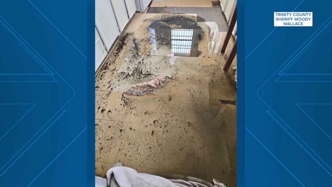 c4fbc2b1 c99b 4da4 942c