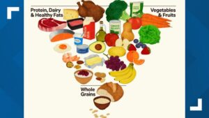 Thay Đổi Kim Tự Tháp Thực Phẩm Mới Gây Tranh Cãi