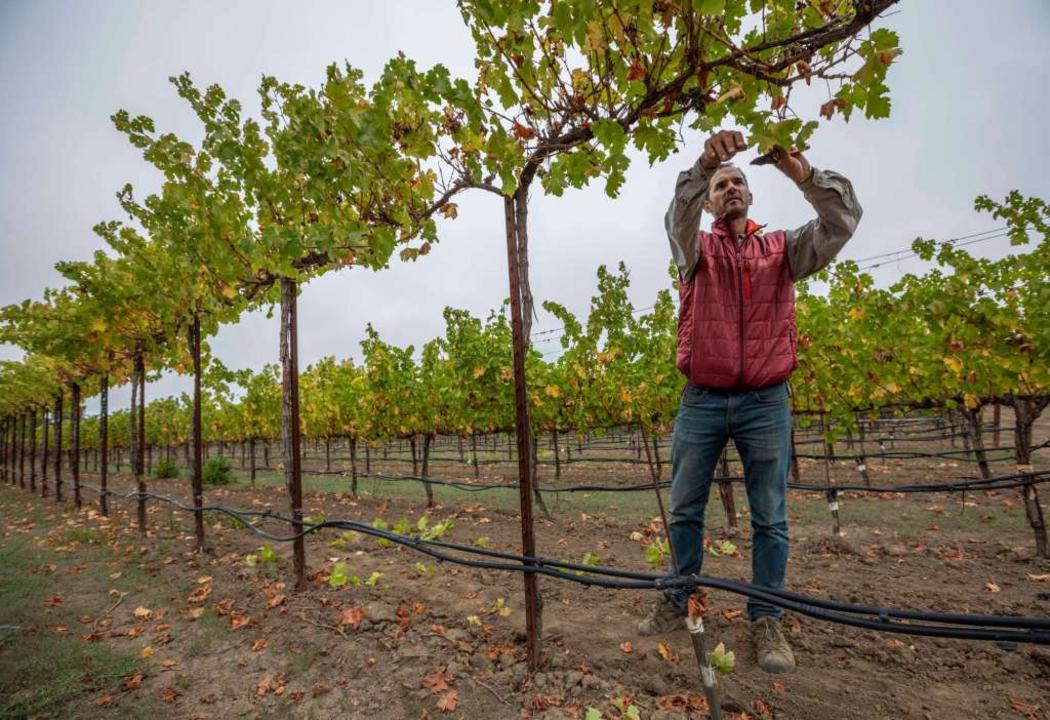 cdb6c4ac 7676 5bf6 95ac b1aa36160d91