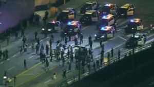 Biểu tình ở Los Angeles sau vụ nổ súng của ICE tại Minneapolis