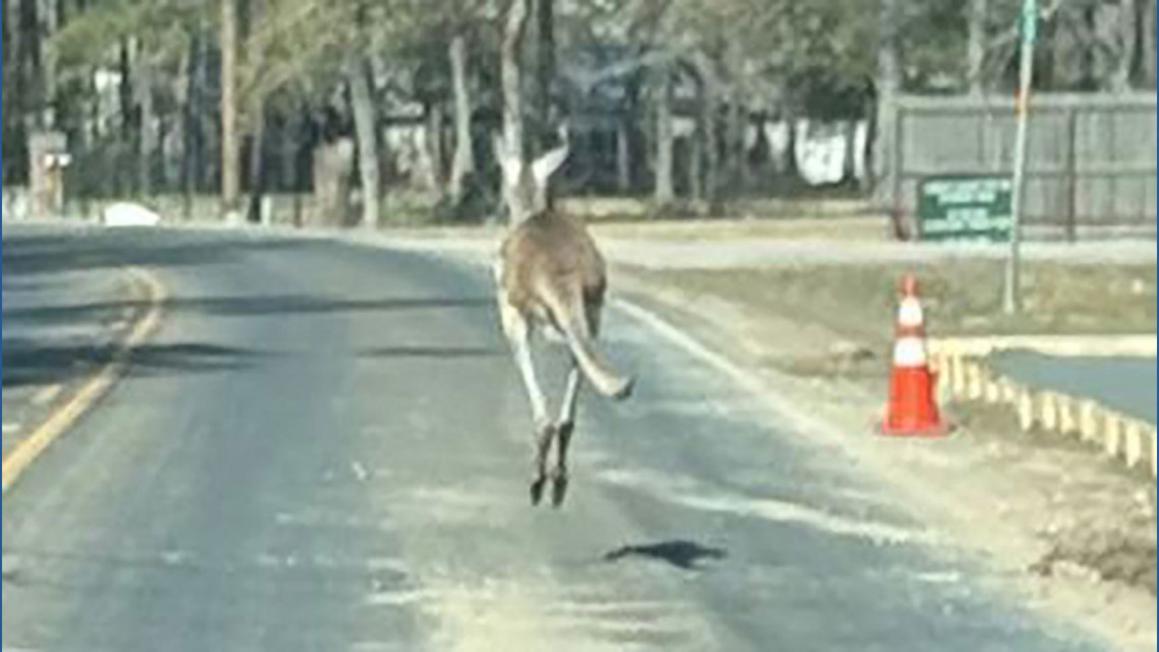 d066a9f3 504c 4cba 92ae