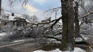 Bão tuyết đóng băng đường cao tốc ở Mississippi, hàng trăm nghìn người mất điện 16 Bão tuyết đóng băng đường cao tốc ở Mississippi, hàng trăm nghìn người mất điện