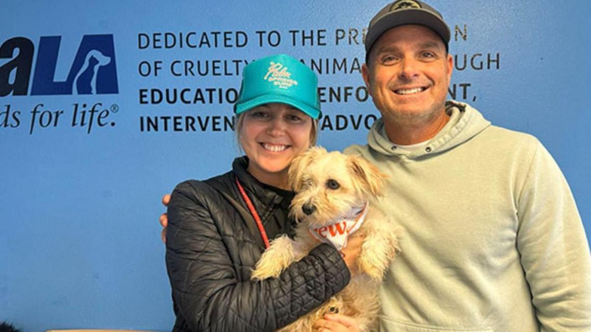 da24ff18 72f1 4dd7 b4d1