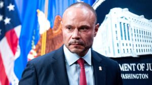 Dan Bongino chỉ trích truyền thông 'ngu ngốc' vì giảm nhẹ mức giảm tội phạm 14 Dan Bongino chỉ trích truyền thông ‘ngu ngốc’ vì giảm nhẹ mức giảm tội phạm