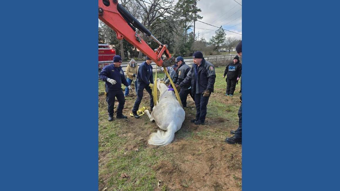 e44bf907 2851 4086 bf6d