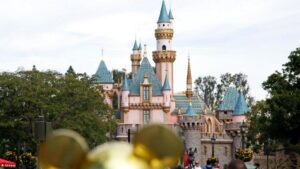 Xô xát tại Disneyland: Đánh nhau trong lúc xếp hàng 33 Xô xát tại Disneyland: Đánh nhau trong lúc xếp hàng