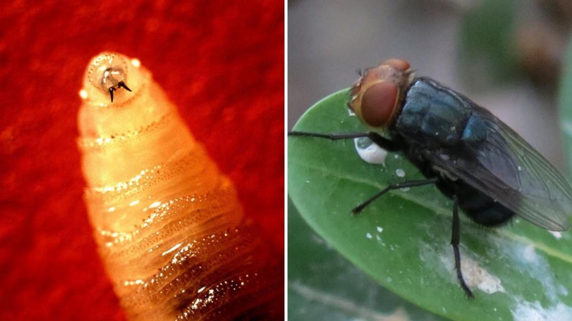 eba6ab1e db03 4d51 a18c