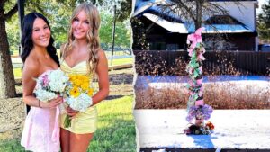 Cô gái tuổi teen thứ hai tử vong tại Texas sau tai nạn trượt tuyết 8 Cô gái tuổi teen thứ hai tử vong tại Texas sau tai nạn trượt tuyết