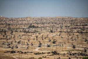 Philp: California và vai trò của bang trong cuộc tìm kiếm dầu thô của Tổng Thống Donald Trump tại Venezuela 28 Philp: California và vai trò của bang trong cuộc tìm kiếm dầu thô của Tổng Thống Donald Trump tại Venezuela