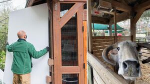 Nhiều cơ sở thương mại ở Houston thông báo đóng cửa vì bão tuyết